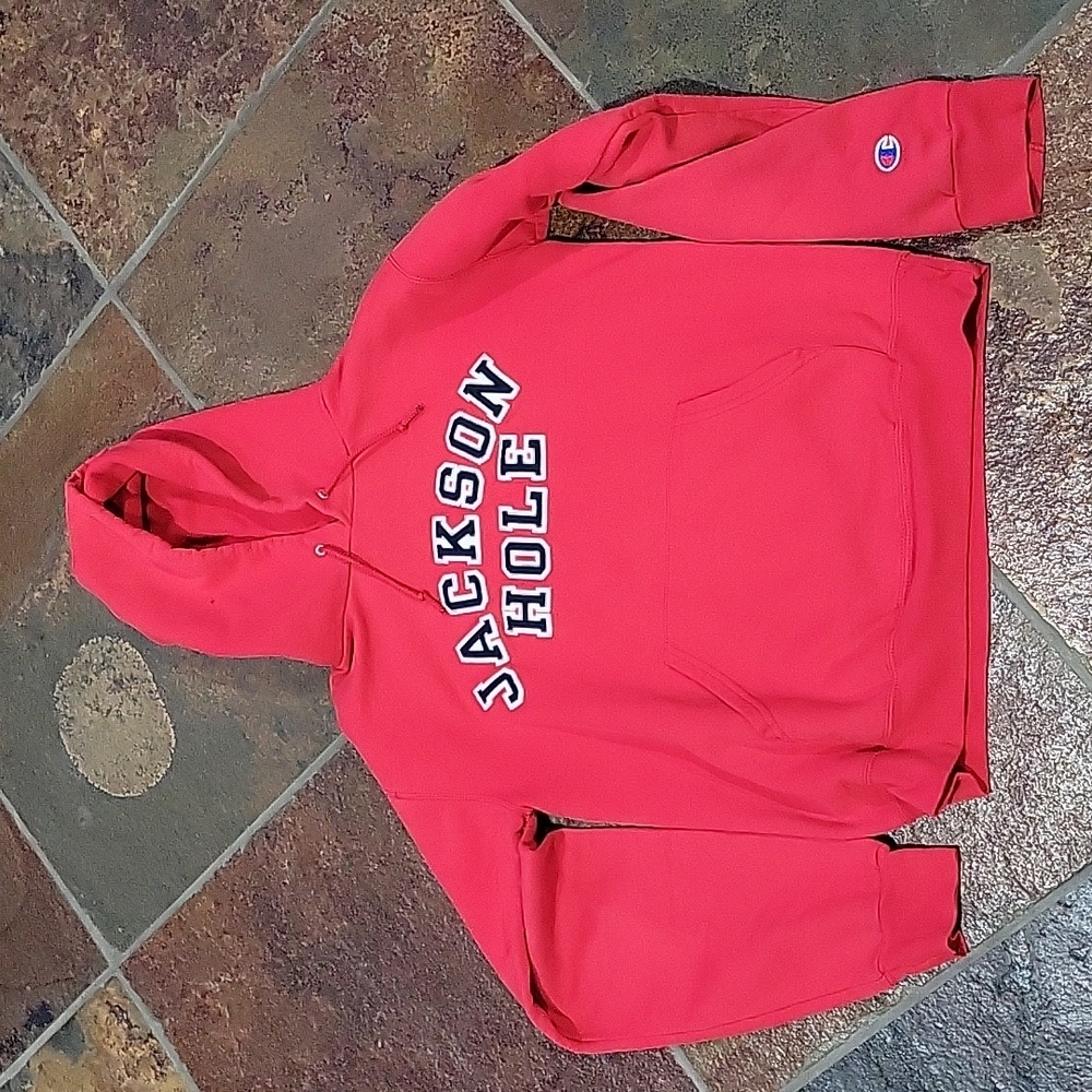 Vintage Champion Jackson Hole Hoodie